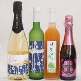 梅酒特集4本セット(薩摩スパークリングにごり梅酒梅太夫(鹿児島) 京都フルーツ白梅スパークリングワインやや甘口(京都) 京都青谷梅わいん(京都) 奥の松純米酒ベースうめとろ(福島)) 375ml×1本 750ml×1本 500ml×2本