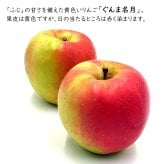 長野県産りんご ぐんま名月 秀品 ご贈答 果物 フルーツ お取り寄せ 産地直送 【送料無料(一部地域除く)】