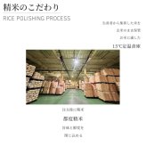 新米　令和8年産　新潟県産なつひめ　5kg