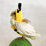 インコ 服 鳥用 コスチューム ミツバチ 着ぐるみ ペットウェア かわいい 仮装 コスプレ 小鳥 オカメインコ セキセイインコ 撮影 小物 おしゃれ 秋 冬 ハロウィン 記念写真 プレゼント