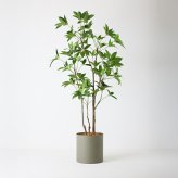 観葉植物 造花 ツピタンサス BROWN 全高約210cm 大型 3本立ち フェイクグリーン 高級 本物そっくり リアル おしゃれ インテリア 人工観葉植物 アーティフィシャルグリーン オフィス 店舗 ホテル 開店祝い 室内 リビング 玄関 風水 ツピダンサス