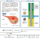 pH バランス キャット ウォーター 500ml×24本【天然水 猫水 尿路ケア 結石対策 尿ケア 水分補給】