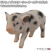 置物 豚 グロスターオールドスポット 幅22.5cm woobia ウービア ぶた リアル かわいい おしゃれ 玄関 インテリア オブジェ ガーデン ミニブタ 動物 アニマル 癒し 棚 個性的 プレゼント ギフト 面白い 新築祝い