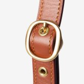 コーチ COACH IDOL BAG アイドル バッグ シグネチャー キャンバス スネークスキン ディテール CM551 ショルダーバッグ ハンドバッグ レディース バッグ