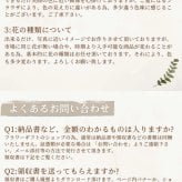 プリザーブドフラワーアレンジメント 【FairyBright】 花の妖精が住んでるような 華やかなアレンジメントプリザーブドフラワー 誕生日 花 華やか 高級感 プレゼント お礼 お祝い 本物 グリーン ギフト メッセージ 送料無料 お礼 プリザーブド プレゼント おしゃれ リビング インテリア 枯れない花 土日発送 母の日 敬老の日 お中元 お歳暮