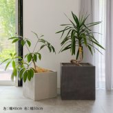 ガーデン エクステリア 「GRITTE」 グリッテ 石調FRPプランター 幅50 (角型) E001-CU500 植木鉢 プランター セメント コンクリート 軽量 大型 75L カバー 庭 インテリア 室内 店舗 おしゃれ 新生活