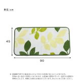 ラグ カーペット 洗えるデザイン玄関マット 45×90cm 【ヴィタム2-Witam2-】 新生活