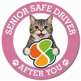 カーサイン 高齢者マーク SENIOR SAFE DRIVER アメリカンワイヤーヘア マグネット 強力 直径13cm 肉球 日本製 車 ステッカー
