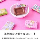第3世界ショップ Artisan ARTBOX mnr-0748 チョコレート　アートボックスオーガニック フェアトレード/かわいい/おしゃれ 人気/ミルク /パッケージ/アート/バレンタイン プチギフト プレゼント/お菓子/有機JAS認証/
