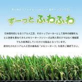 リアル人工芝 メモリーターフ 幅1m×長さ10m 芝丈25mm 形状記憶 潰れてもリアルさをキープ グリーンカラー 室内 水はけ 芝生マット 人工芝生 人工芝ロール 芝生 ロールタイプ 庭 ベランダ テラス バルコニー ガーデニング ガーデン 屋上緑化   雑草対策
