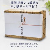 残暑見舞ギフト 人気のドイツビール 330ml×10種 10本飲み比べお中元ギフトセット｜送料無料（一部地域有料）
