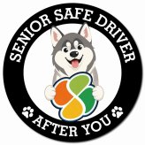 カーサイン 高齢者マーク SENIOR SAFE DRIVER シベリアンハスキー マグネット 強力 直径13cm 肉球 日本製 車 ステッカー