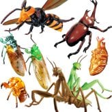 フィギュア リアル 人形大きい 虫 昆虫 [ リアルBIGサイズフィギュアシリーズ スズメバチ / カマキリ / ミンミンゼミ / 抜け殻 / カブトムシ] インパクト キッズ 小学生 男の子 おもちゃ プレゼント