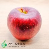 秋映　りんご　贈答用　約1.4kg　4-5玉　長野県産　ハロウィン　フルーツ　ギフト