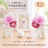  ペット お供え お悔やみ 花 プリザーブドフラワー アレンジメント 一対 小さなお供えプリザ 選べるカラー 6色 贈り物 犬 猫 お供えギフト お花 仏花 仏壇花 ミニアレンジ 送料無料