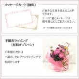 【送料無料】■オレゴン産もみの木のクリスマスリース 完成品■ 本物のもみの木 リース もみの木 クリスマスリース クリスマスリース玄関 リース玄関 選べるリボン クリスマスリース【選べるリボン】
