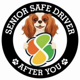 カーサイン 高齢者マーク SENIOR SAFE DRIVER キャバリアキングチャールズスパニエル ステッカー シール 直径13cm 肉球 日本製 車