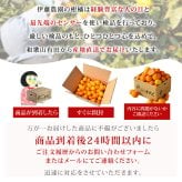みかん 5kg 贈答用 秀品 特選 送料無料 和歌山 M L 伊藤農園 大玉 中玉 手詰め 有田みかん 温州みかん 約30個～40個 果物 出産内祝い 贈答 ギフト 誕生日 結婚祝い 出産祝い 内祝い ギフト