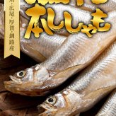 本シシャモ　雄　30尾入り　（オス　中サイズ）　ご飯のおかず、お酒のおつまみに最適 ししゃも 焼き魚 北海道 お取り寄せ