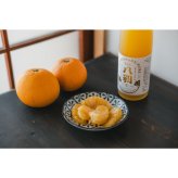【3点入り・ギフトボックス】The はっさく 飲み比べセット｜プレーン・ドライさんしょう・生（PURE）