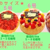 クリスマス生乳チョコアイスケーキ【4～7号】 ［クリスマスケーキ クリスマスデコレーション クリスマスアイスケーキ］