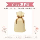 ソフトケース 