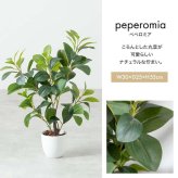 【高さ55cm】光触媒人工観葉植物 パキラ 幅35cm×奥行35cm×高さ55cm コンパクト 天然木 お部屋に気軽に飾れて空間を美しく彩るフェイクグリーン 本物の植物のようなリアルな質感とインテリアに馴染む風合いが魅力です