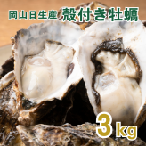 【11月1日から発送開始予定】殻付き生牡蠣 岡山県 日生産 牡蠣 | 3kgパック牡蠣むきナイフ 軍手付き 加熱用 お歳暮 牡蠣 殻付き カキ かき 牡蛎 殻付き牡蠣