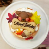 犬用ケーキ 誕生日 ちぃさい秋みぃ～つけた紅葉いちごショートケーキ プチサイズ 無添加 食いつき 人気 おすすめ 手づくりごはん 小型犬 犬 小さいサイズ バースデー ケーキ フードケーキ ごはん プレゼント ギフト 贈り物 お誕生日 お迎え記念日 快気祝い ご贈答用 結婚祝い パーティー お茶会 犬友 猫友 お祝い お誕生日 ワンちゃん ペットフード ドッグフード