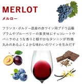 高級ワイン フランス BORDEAUX ボルドー 飲み比べセット 赤ワイン 白ワイン 2本 紅白ワイン フランス オー・メドック  メルロー ソーヴィニヨン・ブラン トワル・ド・ジュイ 750ml 2本 贈り物 プレゼント 熨斗包装 ギフト箱付 お祝い 会社 上司 送料無料