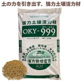 堆肥 OKY-999 10kg スリーナイン 有機JAS適合 乳酸菌 酵母菌 放線菌 光合成細菌 高濃度微生物資材 土壌活力材 アルム農材 ぼかし肥料 種菌 土づくり 団粒化 保肥力 有機農業 家庭菜園 連作障害 対策 果菜 アスパラ 野菜 農業資材 プロ仕様