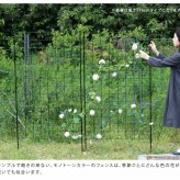 ガーデン エクステリア アイアンフェンス 高さ75「グラフ」4枚組 フェンス アイアン ガーデニング 枠 柵 仕切り 目隠し 境目 クラシカル アンティーク 格子 ベランダ つる 薔薇 バラ 朝顔 園芸 ラティス つるバラ 庭誘引 屋外 新生活