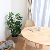 ガーデン エクステリア 観葉植物 ヤドリフカノキ ２１６ フェイクグリーン 植物 緑 グリーン 癒し 植木 インテリア ガーデニング おしゃれ カフェ リビング プランター ギフト プレゼント 贈り物 オフィス 会社 枯れない 簡単 手入れ 樹木 新生活