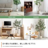 【高さ200cm】光触媒人工観葉植物 パキラ 曲がり 幅55cm×奥行50cm×高さ200cm オフィス 天然木 組立品 お部屋に気軽に飾れて空間を美しく彩るフェイクグリーン 本物の植物のようなリアルな質感とインテリアに馴染む風合いが魅力です