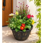 季節の寄せ植え アンティーク柄 軽量プラスチック鉢 内径24cm  （ブラック・4色展開）６～7種類のお花で構成 ラッピング不可 ギフトメッセージOK