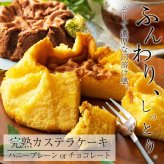 【完熟カステラケーキ】ギフト ハニープレーン味とチョコレート味の2種 卵たっぷり プリンのようなしっとりなめらか シフォンケーキ おいしい お菓子 ギフト デザート【送料無料※一部地域を除く】