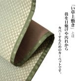 夏ラグ 夏用カーペット フリーカット い草 上敷き カーペット 『F不知火』 三六間6畳(約273×364cm）(裏:ウレタン張り）