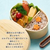 曲げわっぱ わっぱ弁当箱 弁当箱 お弁当箱 まげわっぱ 700ml セット 大人 かわいい おしゃれ ゴム 仕切り 1段 遠足 運動会 軽量 女子 スリム 男子 男性 女性 メンズ 大容量 バンド わっぱ 日本製 丸型 サンドイッチ