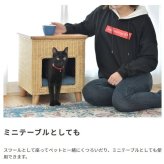 ラタン ペットハウススツール ペットと一緒にくつろぐ クッション付き 椅子 テーブル ネコ イヌ 猫 室内用 屋内用 小型犬 ペット用品 グッズ キャットタワー 省スペース 犬用 猫用 かわいい おしゃれ リゾート ホテル ケージ 最大2 天然木 イス