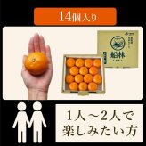 みかん 超特選 有田みかん 送料無料 小玉 高級 糖度12度以上 光センサー選果 船林 ふなりん S M 12～14個 和歌山 手詰め ご当地 お贈答 結婚 出産 内祝い 誕生日プレゼント ギフト 誕生日 結婚祝い 出産祝い 内祝い ギフト