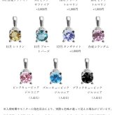選べる誕生石 ネックレスプラチナ ネックレス 一粒 PT950 プラチナ950 白金 チェーン 長さ選べる 40cm 45cm 50cm ギフトラッピング可能 シンプル 華奢 上品 Rapture アイリス 彼女 妻 女性 レディース 誕生日 プレゼント ハロウィン 【品番：CG-RSP-29051PT】