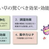 夏ラグ 夏用カーペット 純国産 い草 上敷き カーペット 市松織 『不知火』 団地間3畳(約170×255cm） 熊本県八代産イ草使用
