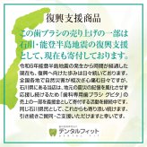 毛のかたさ選べる 歯科専用歯ブラシ Gupita グピタ (毛のかたさ：Mふつう／Sやわらかめ) 10本セット (メール便4点まで) 【メール便送料無料】(※日時指定不可)／ 理想の歯ブラシ 全5色 個包装 ／ 復興支援商品