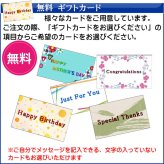 【送料無料】（お取り寄せ）腕時計メンズ【Salvatore Marra】サルバトーレマーラ ウォッチ レザーベルト アナログ カレンダー 24時間計 マルチファンクション SM23101-SSGR お祝い 卒業 入学 就職 退職 ギフト[SM23101-SSGR]