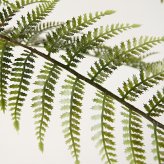 観葉植物 造花 ディクソニア BROWN 全高約183cm 大型 フェイクグリーン 高級 本物そっくり リアル おしゃれ 珍しい インテリア 人工観葉植物 アーティフィシャルグリーン オフィス 店舗 ホテル 開店祝い 室内 リビング 玄関 風水 木性シダ