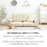 ソファ 座椅子 ロー コンパクト 2人掛け ー かわいい 二人掛け 一人暮らし 可愛い 韓国 こたつ用 北欧 おしゃれ フロア アイボリー/ブラウン/レッド iw-67