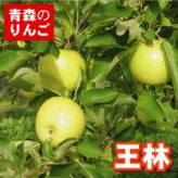 【11月中旬頃発送】一華ベジフル 青森 りんご 王林 (おうりん) 家庭用 3C箱(8～12個入) 一華ベジフル 青森 お土産 青森県産 果物 フルーツ 訳あり ランキング ギフト リンゴ 林檎 アップル 送料無料 お歳暮 2026
