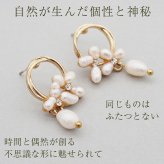 バロックパール デザイン ピアス レディース 淡水パール シルバー925 1個ずつバラ売り おしゃれ かわいい プレゼント