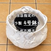 ヨーロッパ ポルトガル製 黄 陶器製 植木鉢 おしゃれ 通販 ガーデニング ポット 手作り バラ レリーフ プランター 幸せの イエローローズ 底穴あり 直植え OK 19cm pan-h233y