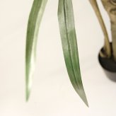 観葉植物 造花 ユッカ BROWN 全高約160cm 大型 フェイクグリーン 本物そっくり おしゃれ インテリア 人工観葉植物 アーティフィシャルグリーン オフィス 店舗 ホテル 開店祝い 室内 青年の木 エレファンティペス フェイク